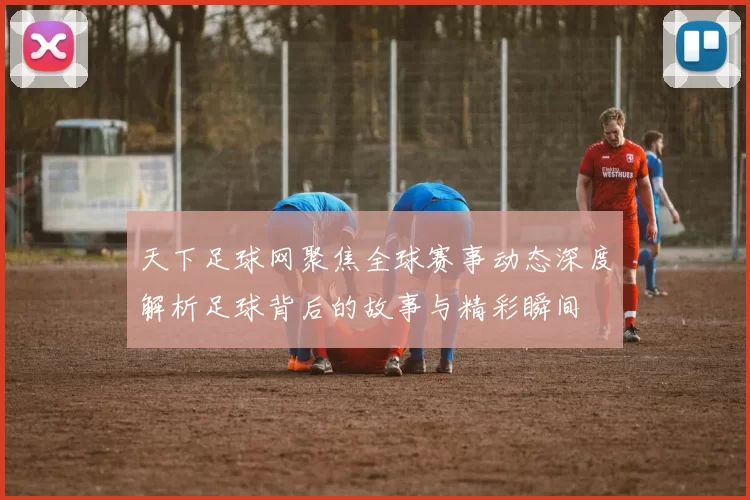 天下足球网聚焦全球赛事动态深度解析足球背后的故事与精彩瞬间