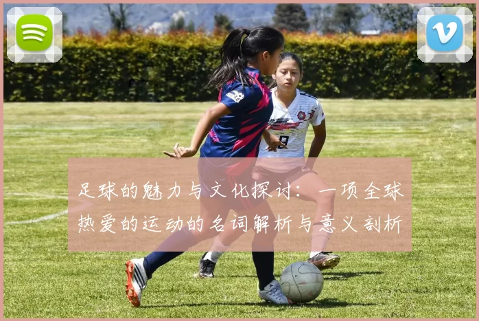 足球的魅力与文化探讨：一项全球热爱的运动的名词解析与意义剖析