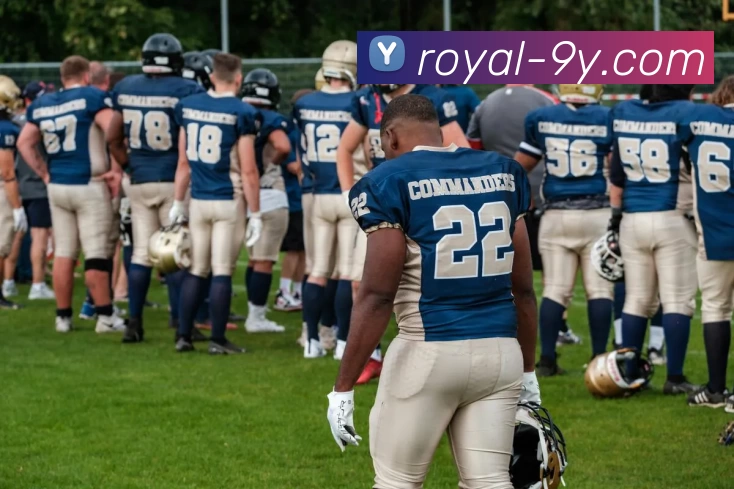 多媒体互动体验